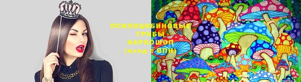 ПСИЛОЦИБИНОВЫЕ ГРИБЫ Алзамай