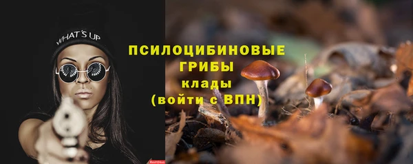 ПСИЛОЦИБИНОВЫЕ ГРИБЫ Алзамай