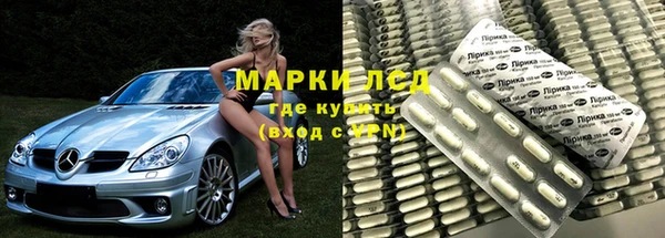 ПСИЛОЦИБИНОВЫЕ ГРИБЫ Алзамай
