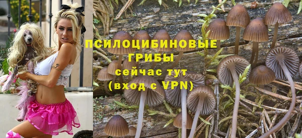 ПСИЛОЦИБИНОВЫЕ ГРИБЫ Алзамай
