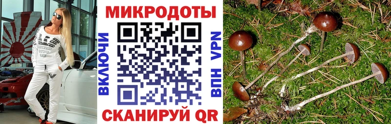 сайты даркнета наркотические препараты  OMG рабочий сайт  Новоаннинский  наркотики  Галлюциногенные грибы Cubensis 